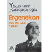 Ergenekon; Milli Mücadele Yazıları