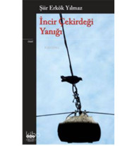 İncir Çekirdeği Yanığı
