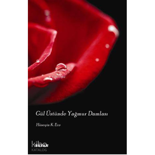 Gül Üstünde Yağmur Damlası