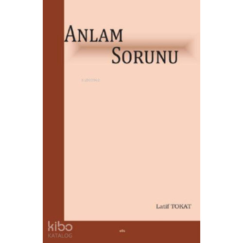 Anlam Sorunu