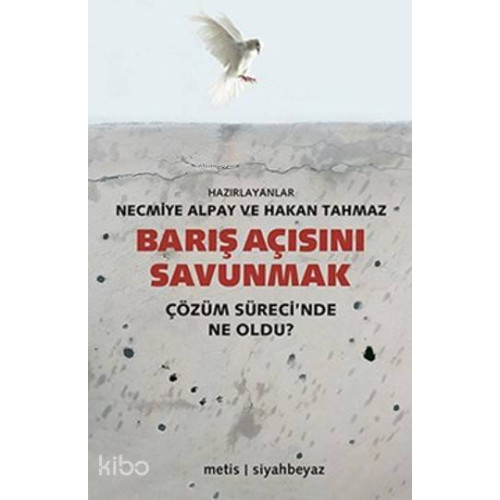 Barış Açısını Savunmak; Çözüm Sürecinde Ne Oldu ?