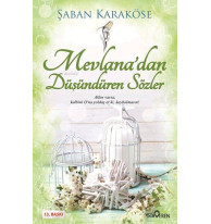 Mevlana'dan Düşündüren Sözler