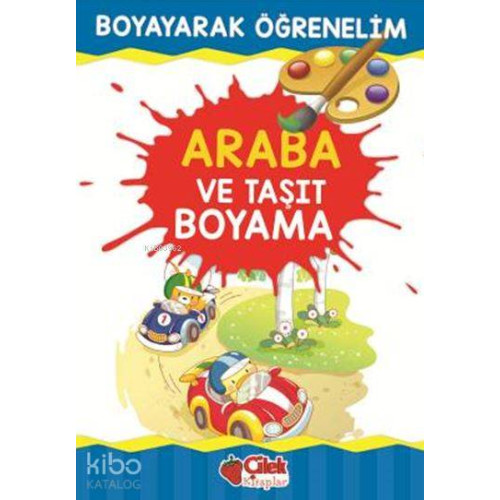 Araba ve Taşıt Boyama