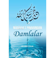 Nübüvvet Pınarından Damlalar