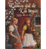 Kırmızı Gül ile Kar Beyaz