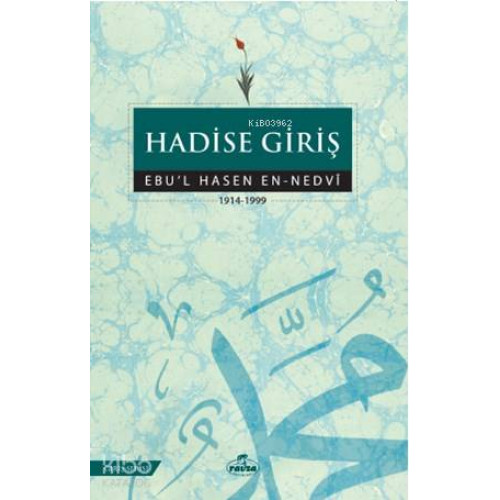 Hadise Giriş