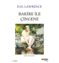 Bakire ile Çingene