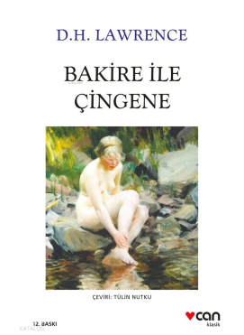 Bakire ile Çingene