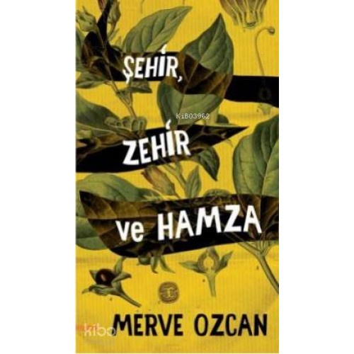 Şehir Zehir ve Hamza