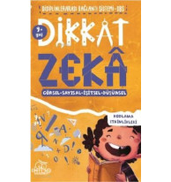 Dikkat Zeka 9+ Yaş – Disiplinler Arası Bağlantı Sistemi (DBS)