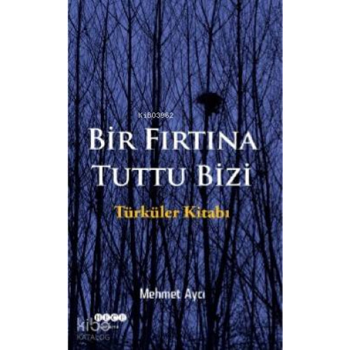 Bir Fırtına Tuttu Bizi