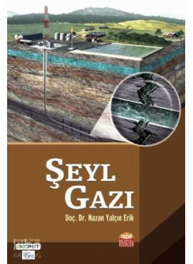 Şeyl Gazı