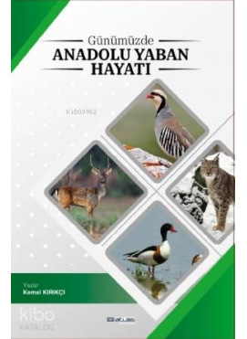 Günümüzde Anadoluda Yaban Hayatı