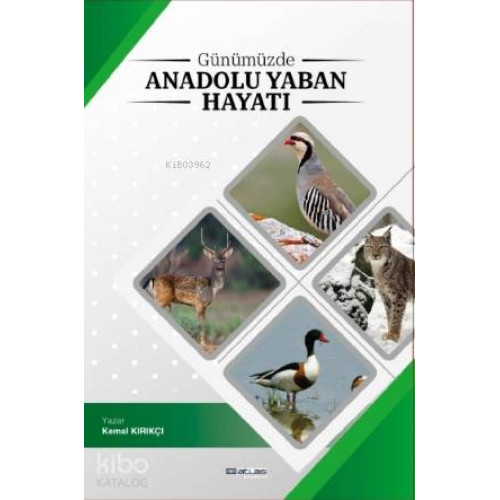 Günümüzde Anadoluda Yaban Hayatı