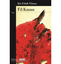 Fil Kazası