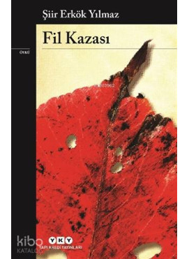 Fil Kazası