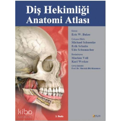 Diş Hekimliği Anatomi Atlası