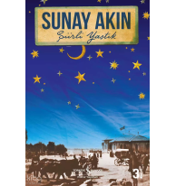 Şiirli Yastık