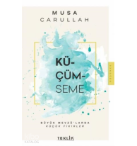 Küçümseme;Büyük Mevzu'larda Küçük Fikirler