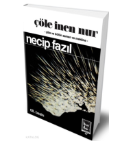 Çöle İnen Nur