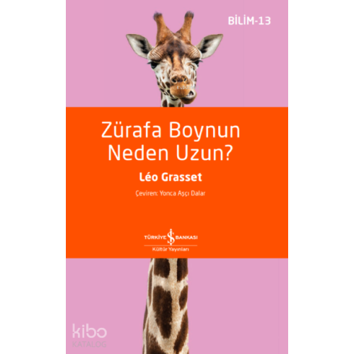 Zürafa Boynun Neden Uzun?