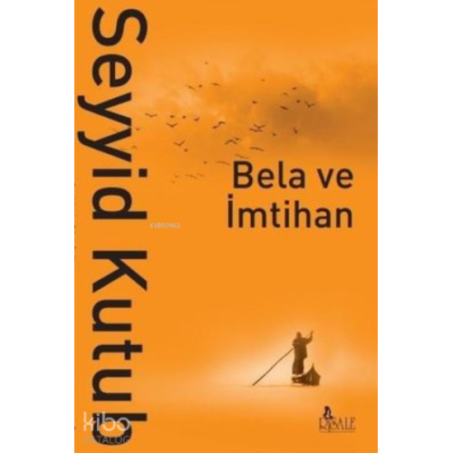 Bela ve İmtihan