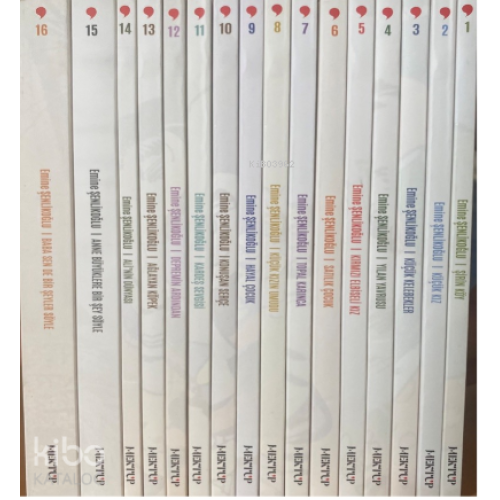 Nesillerin Öyküsü (16 Kitap)