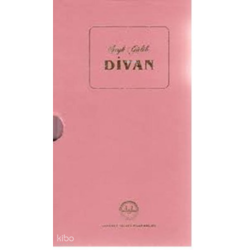 Divan-Şeyh Galib-Kutulu