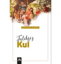 Talihsiz Kul