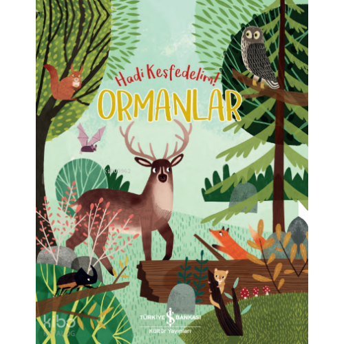 Ormanlar– Hadi Keşfedelim!