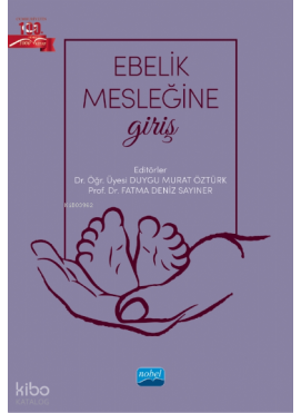 Ebelik Mesleğine Giriş