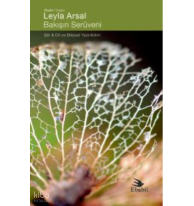 Bakılın Serüveni -Şiir & Dil ve Bilişsel Yazınbilim