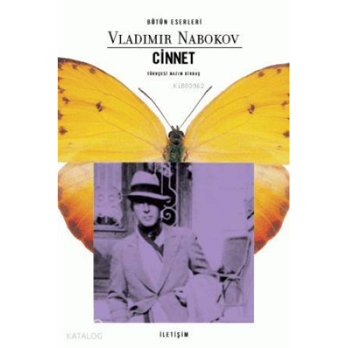 Cinnet