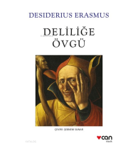 Deliliğe Övgü