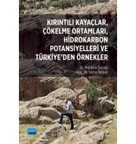 Kırıntılı Kayaçlar, Çökelme Ortamları, Hidrokarbon Potansiyelleri ve Türkiye’den Örnekler