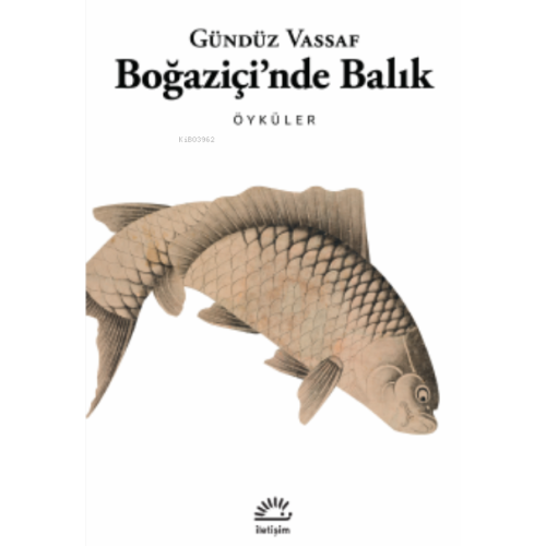 Boğaziçi'nde Balık - Öyküler