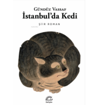İstanbul'da Kedi