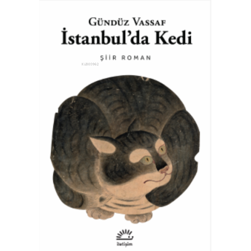 İstanbul'da Kedi