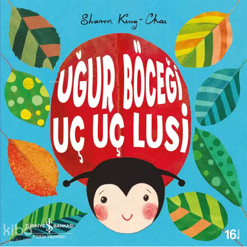 Uğur Böceği Uç Uç Lusi