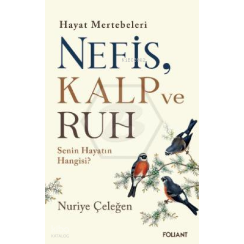 Nefis Kalp ve Ruh;Hayat Mertebeleri Senin Hayatın Hangisi?