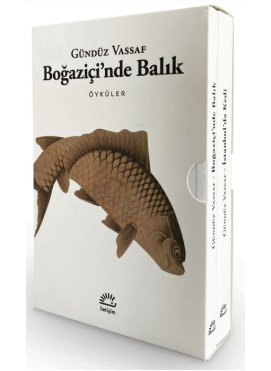 Boğaziçi'nde Balık - İstanbul'da Kedi (2 Kitap - Kutulu Set)