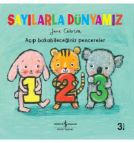 Sayılarla Dünyamız