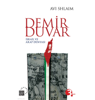 Demir Duvar; İsrail ve Arap Dünyası