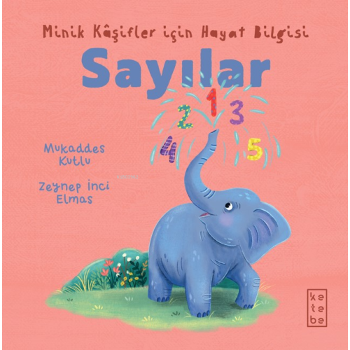 Sayılar - Minik Kâşifler için Hayat Bilgisi