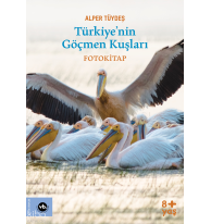 Türkiyenin Göçmen Kuşları - Fotokitap