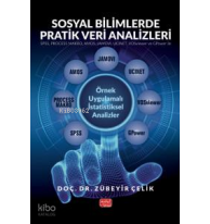 Sosyal Bilimlerde Pratik Veri Analizleri;Örnek Uygulamalı İstatistiksel Analizler