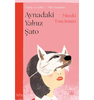 Aynadaki Yalnız Şato