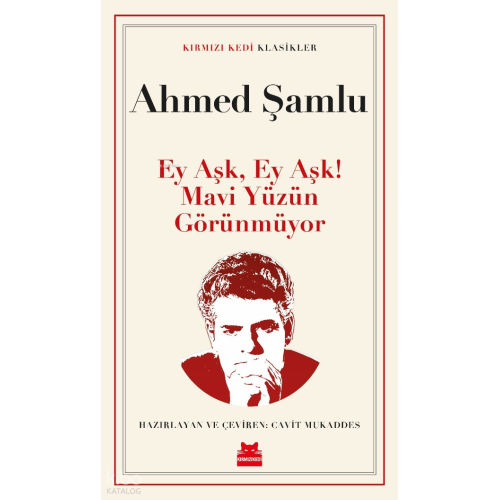 Ey Aşk, Ey Aşk! Mavi Yüzün Görünmüyor