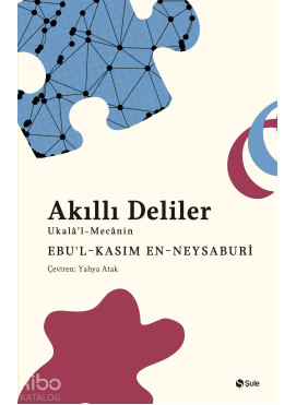 Akıllı Deliler Kitabı