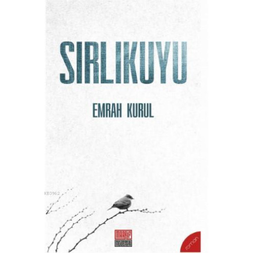 Sırlıkuyu